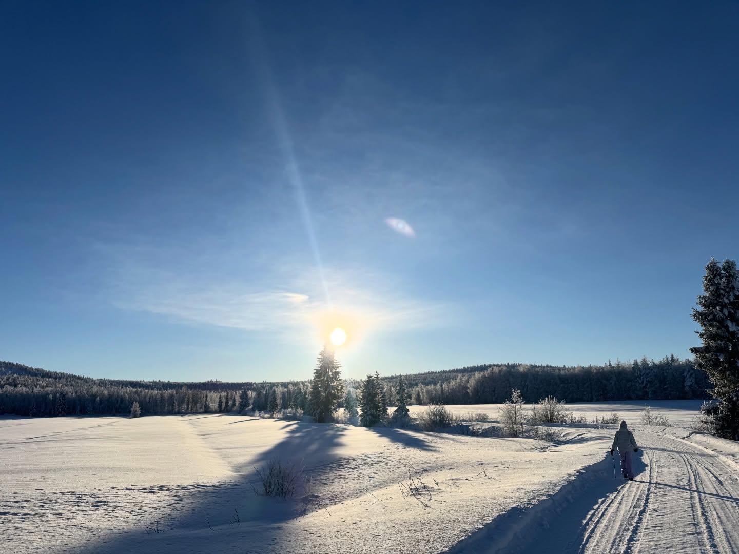 Snow-covered forest in Finnish Lapland